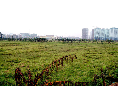 Nhiều đơn Ảnh: Hoàng Hà